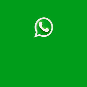 Grupo do <br>Whatsapp